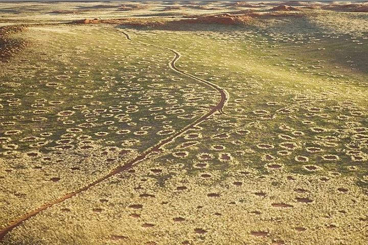 Giải mã bí ẩn các vòng tròn cát trên sa mạc Namib, Namibia