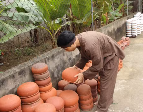 Bi mat 10 loai gia vi co trong noi ca kho lang Vu Dai - Anh 6