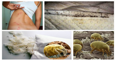 6 điều bạn tuyệt đối không nên làm mỗi sáng thức dậy - Ảnh 4 6 dieu ban tuyet doi khong nen lam moi sang thuc day - Anh 4