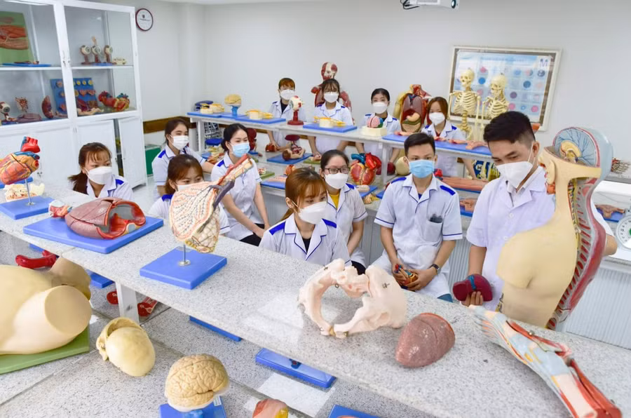 Điều dưỡng là một trong bốn nhóm ngành trọng điểm được Nova College chú trọng.