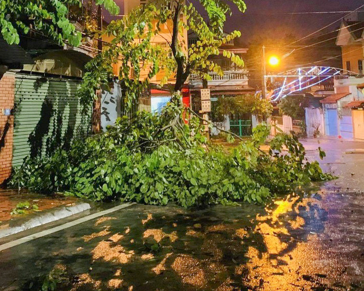 Mưa đá kèm theo giông lốc khiến nhiều cây cối gẫy đổ, tài sản người dân hư hại.