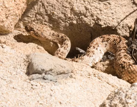 5 cau chuyen sinh no khong ai tin la su that - Anh 2