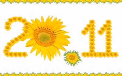 Sở GD&ĐT Quảng Bình không tổ chức tiếp khách chúc mừng ngày 20/11