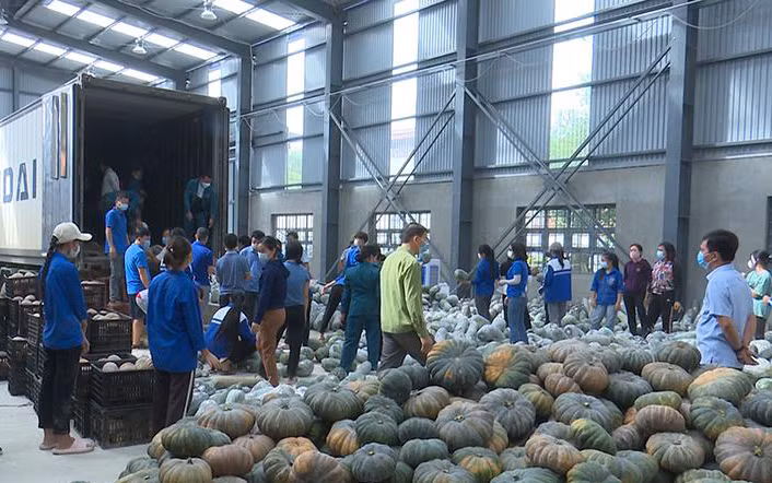 Hàng trăm đoàn viên, thanh niên, cùng cán bộ, nhân dân được huy động để sắp xếp, đóng gói hàng hóa cẩn thận trước khi vận chuyển.