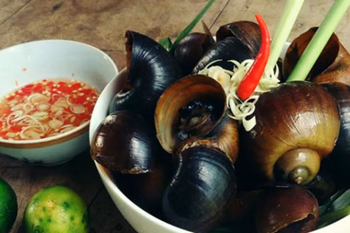 Cách làm ốc bươu hấp sả thơm phức, giòn ngon sần sật, ăn là ghiền