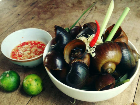 Cách làm ốc bươu hấp sả thơm phức, giòn ngon sần sật, ăn là ghiền - Ảnh 3 Cach lam oc buou hap sa thom phuc, gion ngon san sat, an la ghien - Anh 3