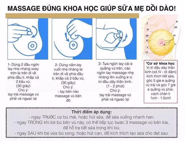 xử trí tắc tia sữa 1