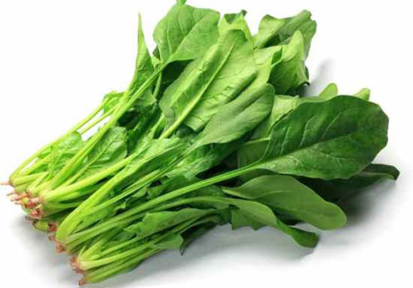 Kỹ thuật trồng cây cải bó xôi tại nhà cho trẻ ăn dặm cực tốt - Ảnh 1 Ky thuat trong cay cai bo xoi tai nha cho tre an dam cuc tot - Anh 1