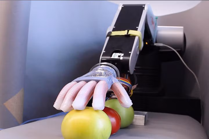 Gentle Bot: Cánh tay nhân tạo biết cảm nhận như con người