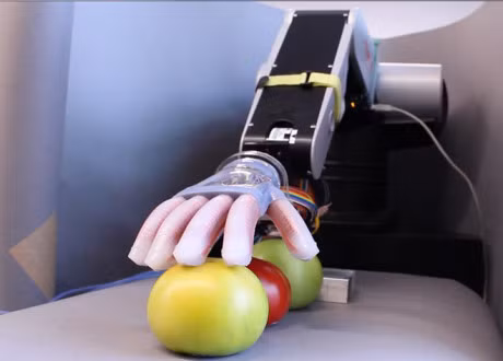 Gentle Bot: Canh tay nhan tao biet cam nhan nhu con nguoi - Anh 2