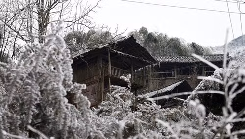 Cả ngôi làng Trung Quốc bị 