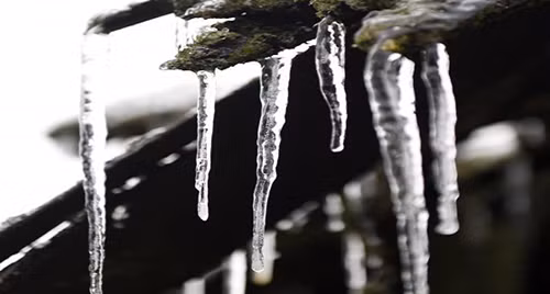 Cả ngôi làng Trung Quốc bị 