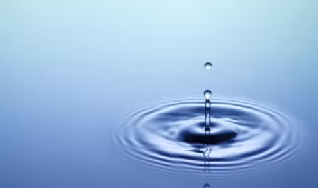 Nguoi cang hieu biet cang khiem nhuong - Anh 3