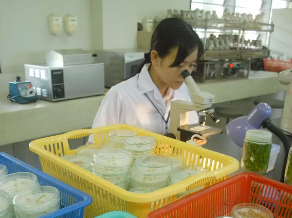 Trường ĐH Cần Thơ: Tăng cường chất lượng trong nghiên cứu khoa học