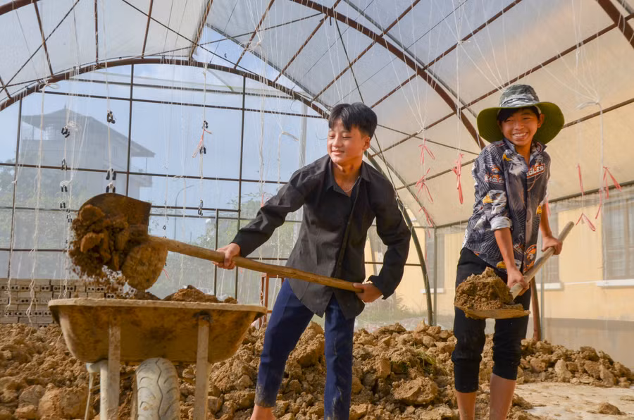 Học sinh THCS trải nghiệm nghề nông nghiệp. Học sinh THCS trải nghiệm nghề nông nghiệp.