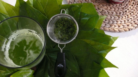 Tác dụng của lá trầu không với bệnh viêm da cơ địa - Ảnh 3 Tac dung cua la trau khong voi benh viem da co dia - Anh 3