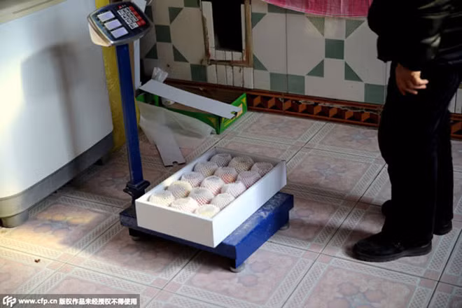 Nghị lực vô bờ của bé gái điều khiển máy tính bằng mũi ảnh 5