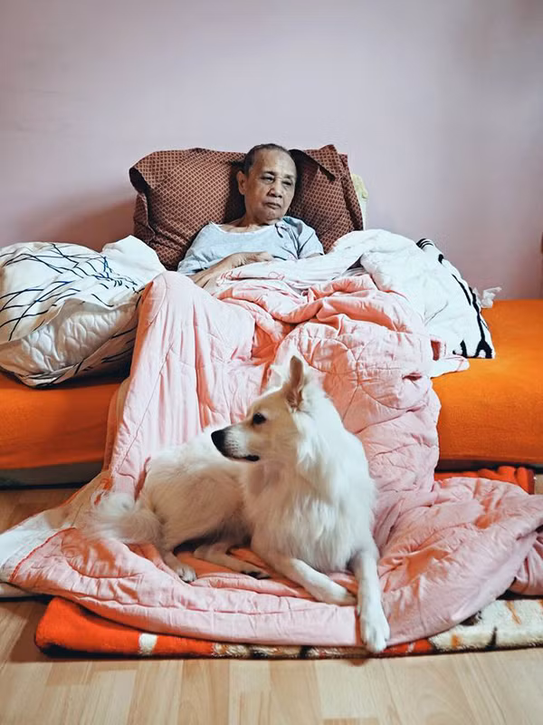 Chú chó cứu cụ bà 80 tuổi được viết nhật ký hàng ngày