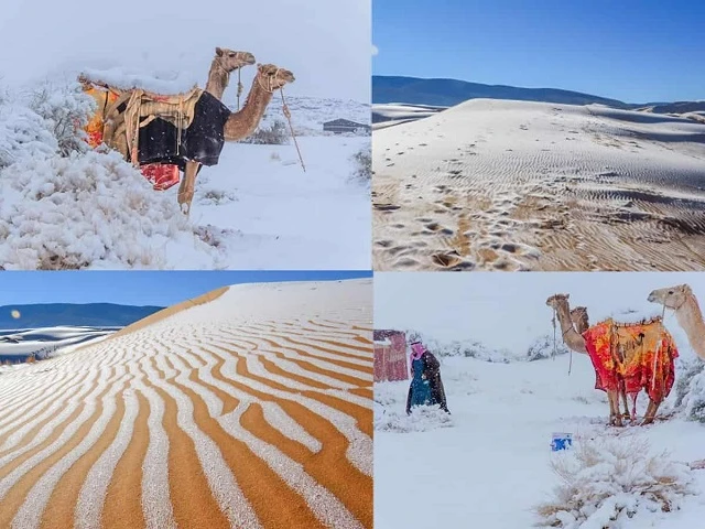 Tuyết rơi trên sa mạc Sahara.