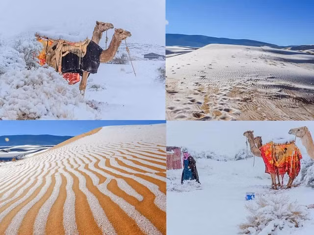 Tuyết rơi trên sa mạc Sahara.