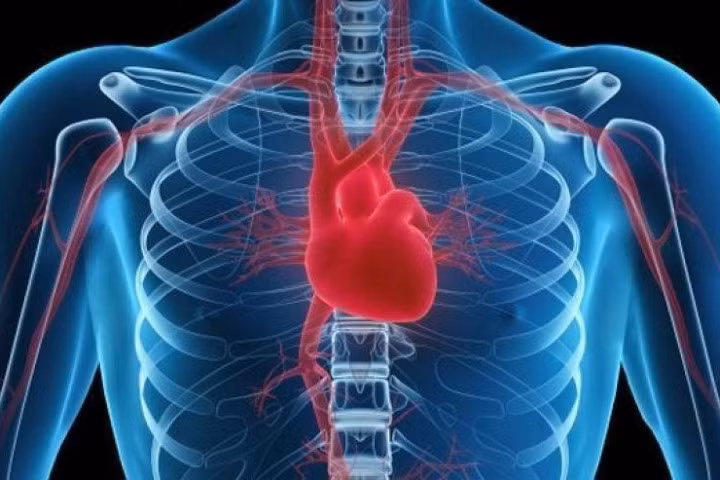 Pháp: Bệnh nhân thứ 5 được ghép tim nhân tạo đã qua đời