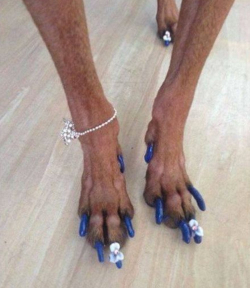 cuoi-te-ghe-20-10-hay-nhin-xem-trong-mat-anh-co-gi