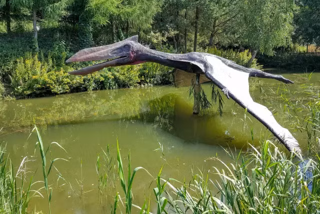 Ảnh minh họa loài Pterosaur.