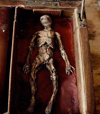 Bộ sưu tập xương người tý hon dưới hầm lâu đài cũ ảnh 3