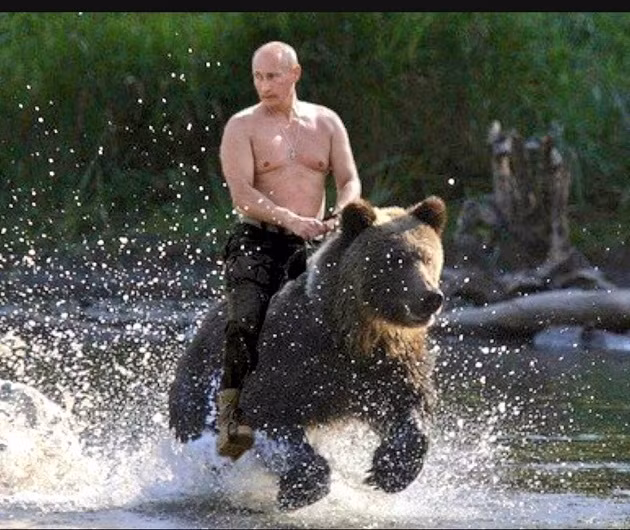 Ông Putin tiết lộ chuyện cưỡi gấu giữa thiên nhiên