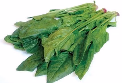 Top 10 thực phẩm giúp tăng hưng phấn - ảnh 5