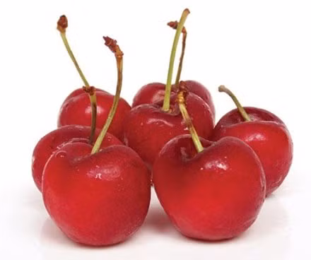 Ảnh minh họa: Internet