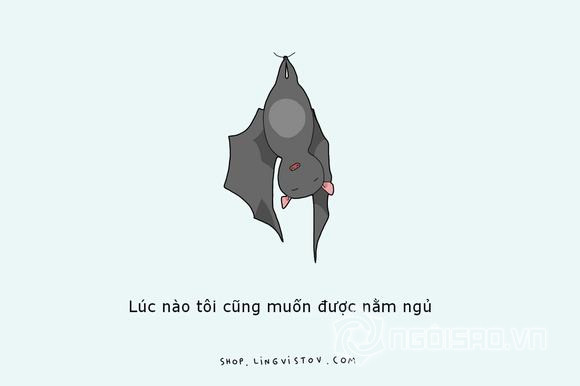 Chỉ người ngủ nướng mới hiểu 7 Chỉ người ngủ nướng mới hiểu 7