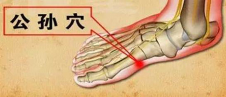 7 cách chăm sóc tỳ vị yếu để sống thọ - Ảnh 2 7 cach cham soc ty vi yeu de song tho - Anh 2