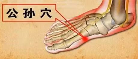 7 cach cham soc ty vi yeu de song tho - Anh 2