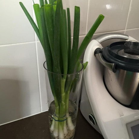 Meo giu thuc pham tuoi lau hon - Anh 8