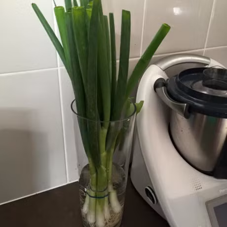 Meo giu thuc pham tuoi lau hon - Anh 8