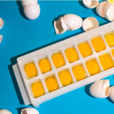 Meo giu thuc pham tuoi lau hon - Anh 2