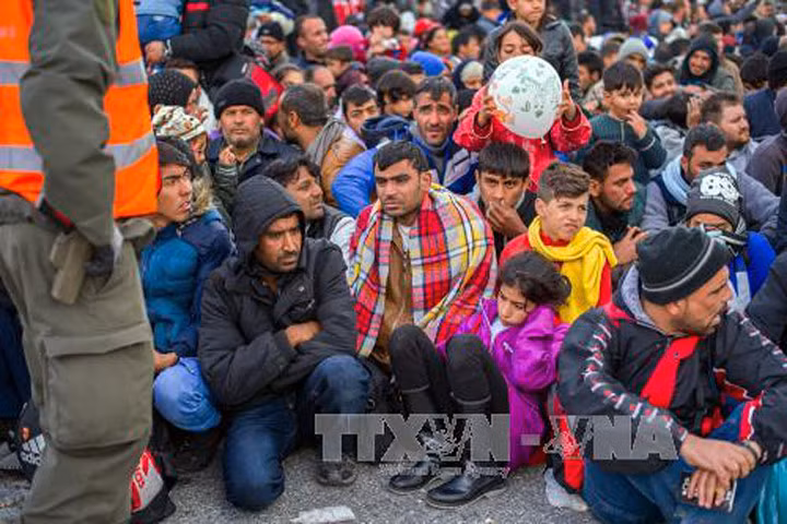Người tị nạn chờ được lên xe ô tô sau khi vượt qua biên giới giữa Áo và Slovenia. Ảnh: AFP/TTXVN