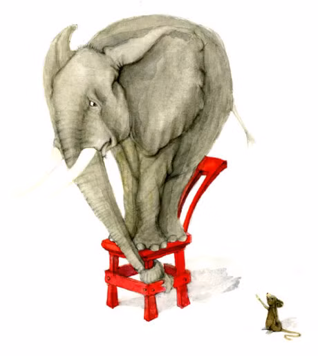 Ngoai chuot ra, day la loai vat ma voi cu nghe tieng la thao chay - Anh 2