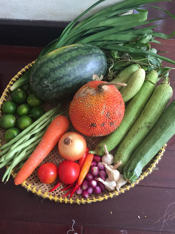 thực đơn, bữa tiệc, 300.000, 10 món, bày biện, món ngon