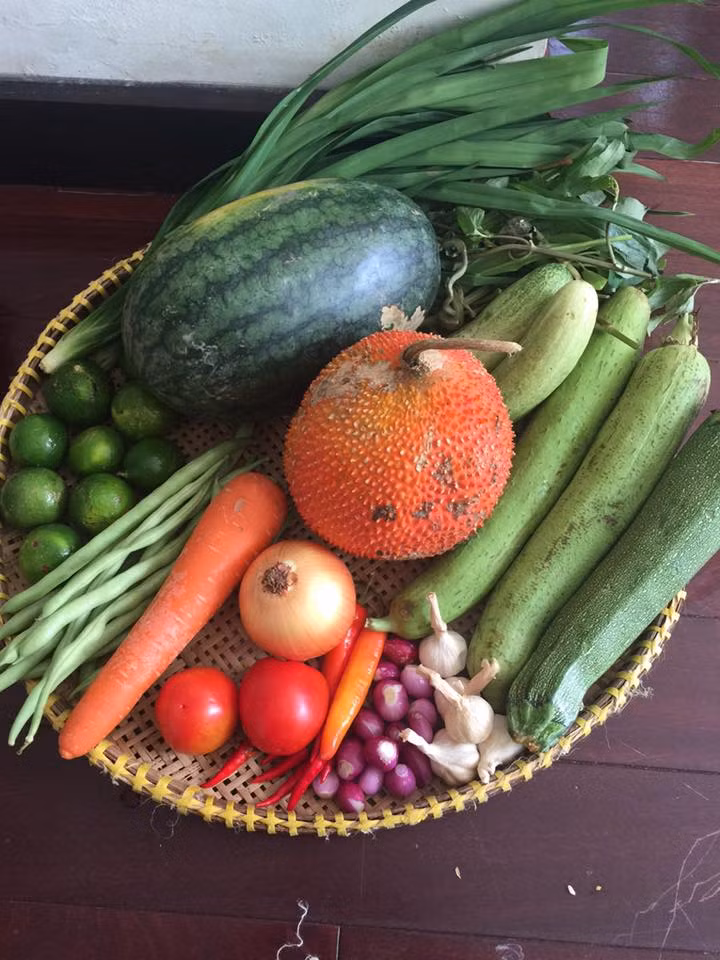 thực đơn, bữa tiệc, 300.000, 10 món, bày biện, món ngon