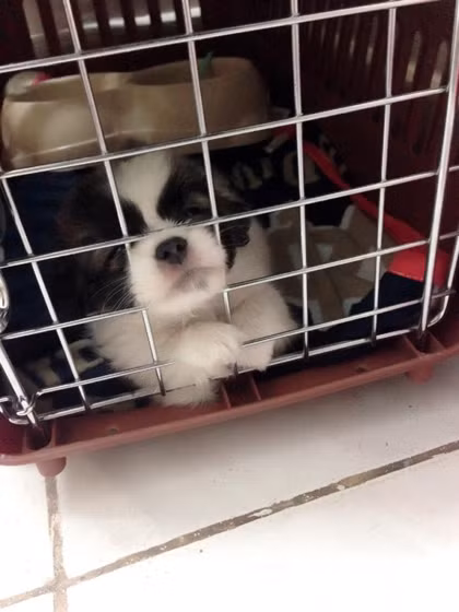 11717011-410282152496810-12220-6274-6605