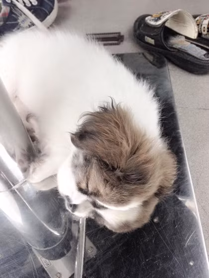 11717198-410438079147884-12752-3591-8801