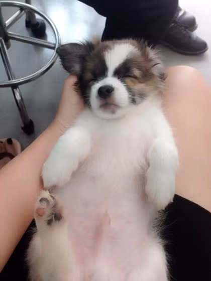 11716100-410439209147771-21278-9099-2914