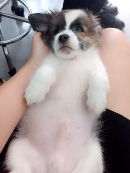 11739761-410439212481104-95608-2298-9410