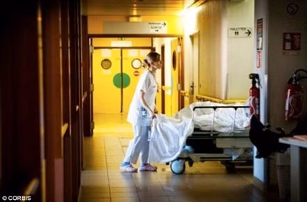 Ảnh minh họa: Internet