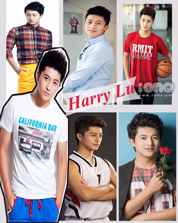 Năm 2014 được xem là một năm thành công của chàng hot boy xứ Đài Harry Lu. Sở hữu vẻ ngoài điển trai, gương mặt cuốn hút, Harry Lu dễ dàng gây được ấn tượng với công chúng. Việc tham gia bộ phim đình đám Thần Tượng và tin đồn người yêu của cô ca sĩ Hoàng Thùy Linh cũng giúp cho chàng hot boy xứ Đài nổi tiếng hơn. Trang cá nhân và fanpage của Harry Lu có khoảng 200.000 lượt theo dõi.