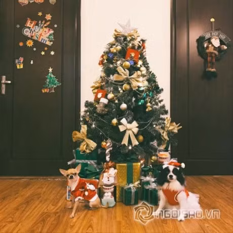 Ron rang khong khi giang sinh trong tung nha Sao Viet - Anh 32