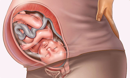 Thai nhi nằm trong bụng mẹ đủ ngày tháng có rất nhiều lợi ích về mặt sức khỏe. (ảnh minh họa)