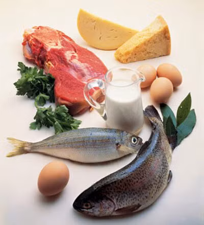 Thuc don dinh duong cho be 11 thang tuoi - Anh 2